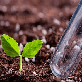 Piața produselor fitosanitare va fi reglementată de noi prevederi MAIA
