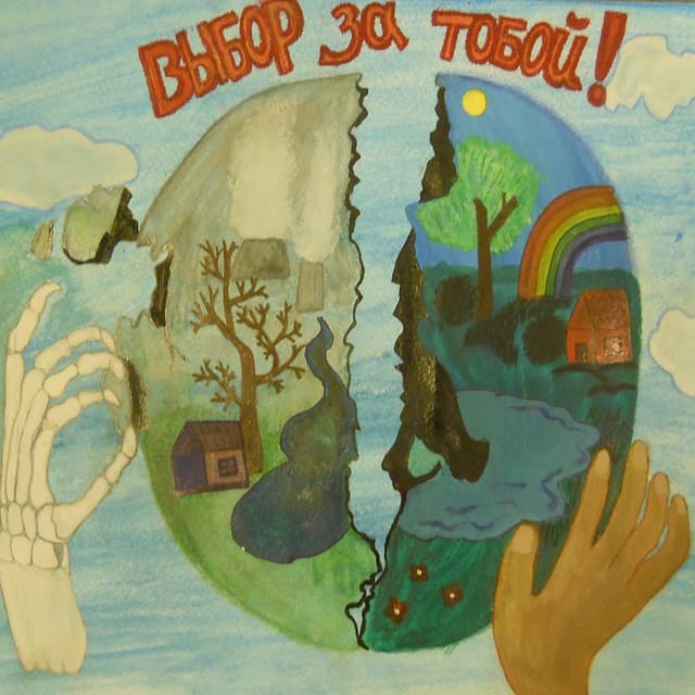 Органы  местной власти вправе констатировать нарушение правил чистоты