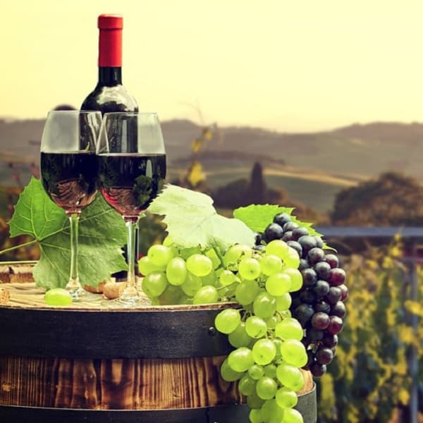 Исключение двойной уплаты сбора в Фонд винограда и вина