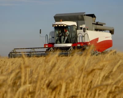 Польский кредит стал более доступен для молдавских фермеров