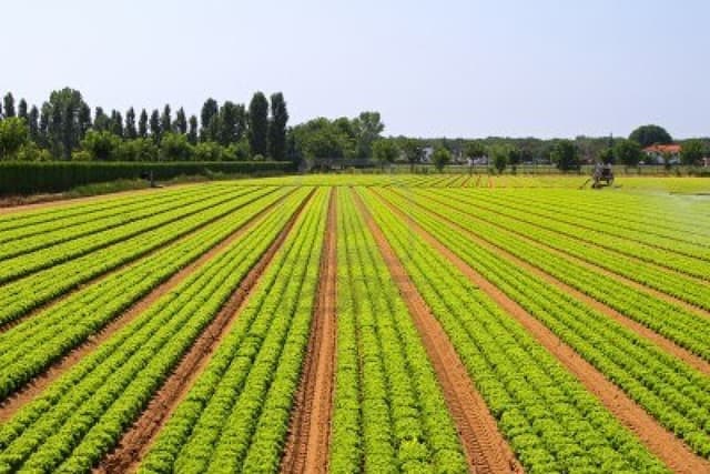 Circa 100 de agricultori au învăţat să aplice noile metode de prelucrare a solului