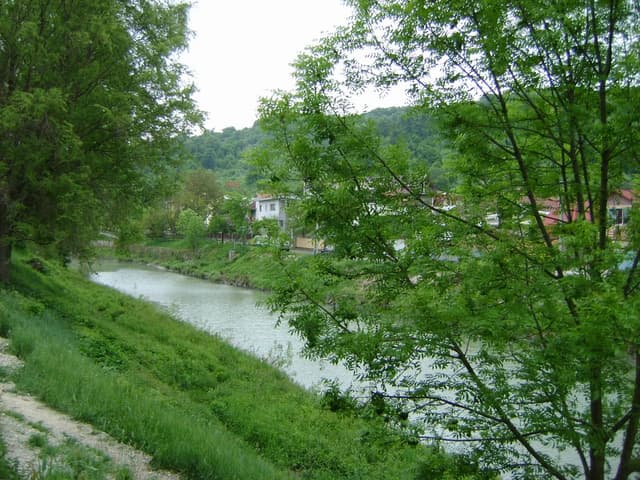 Conceptul Agenţiei pentru Supraveghere Tehnică, propus spre consultare