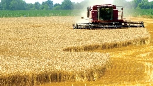 În Transnistria a fost prelungită valabilitatea impozitului unic în agricultură