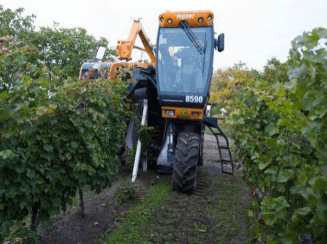 Ministerul Agriculturii și Industriei Alimentare oferă credite pentru sectorul vitivinicol cu o rată a dobânzii de 3,75%