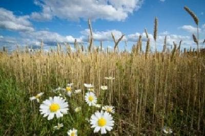 Consiliul de Observatori al FPM Moldova a evaluat rezultatele primei etape a Programului Compact