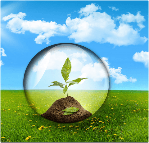 Târgul Ideilor Eco-Responsabile se desfășoară în premieră la Chișinău