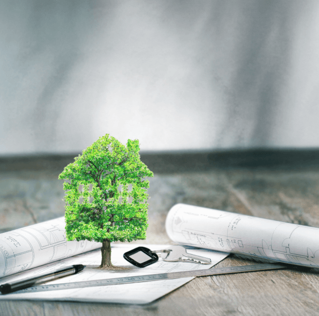 Activitatea economică: autorizare integrată pentru prevenirea poluării mediului