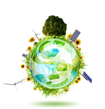 Guvernul a aprobat Regulamentul de utilizare a mărcii ”Agricultura Ecologică – R. Moldova”