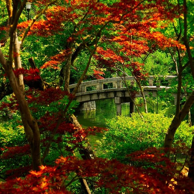 Moldova și Japonia vor asigura securitatea lanţului comercial internaţional de aprovizionare