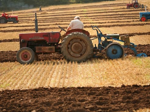 Statul ar putea aloca până la trei miliarde de lei în agricultură, în 2014