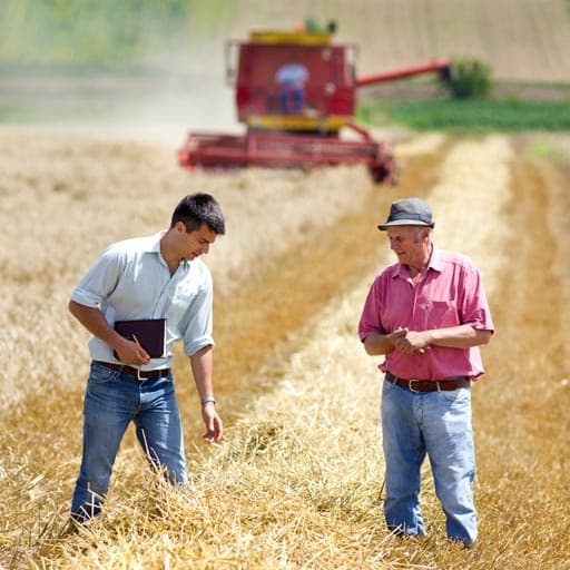 Cuantumul minim al plății anuale pentru arenda terenurilor agricole va fi exclus