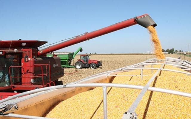 De mâine, va fi posibil exportul de cereale pe cale navală pe râul Prut