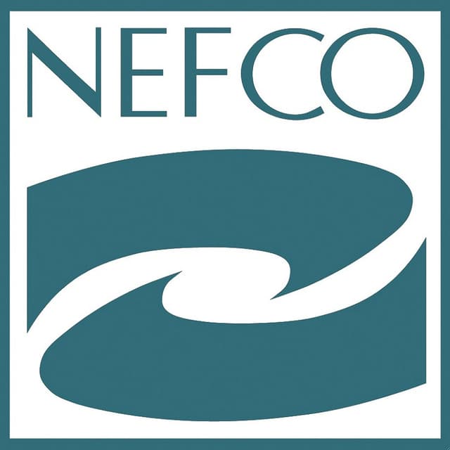 NEFCO: эффективный диалог с госсектором