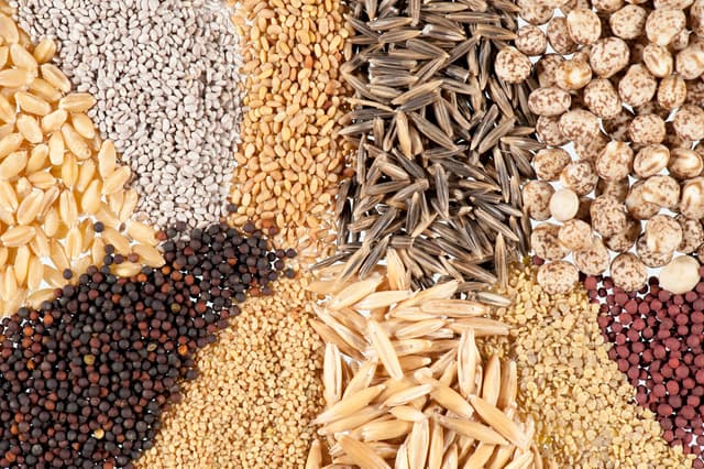 Moldova și Belarus vor produce în comun semințe și material semincer