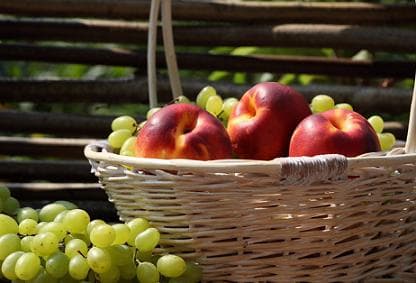 Рынок Эстонии открыт для сельхозпродукции из Молдовы
