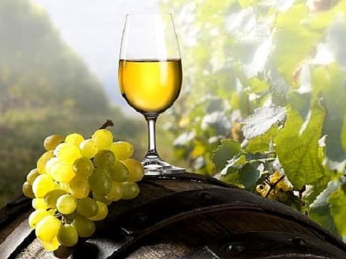 Exporturile vinului moldovenesc pe plan mondial