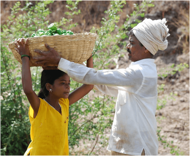 Боливия легализовала детский труд с 10-летнего возраста