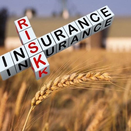 Proiect: excluderea plafonării subvenției de asigurare în agricultură