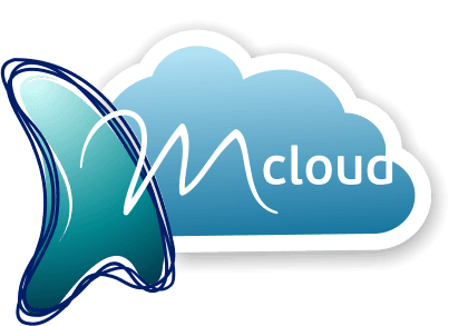 Сentrul de Guvernare Electronică, în parteneriat cu Centrul de Telecomunicații Speciale au lansat resursa informațională mcloud.gov.md