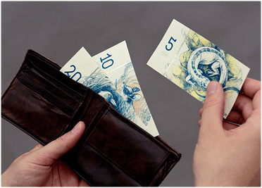 Венгерская студентка предложила разместить животных и растения на банкнотах евро