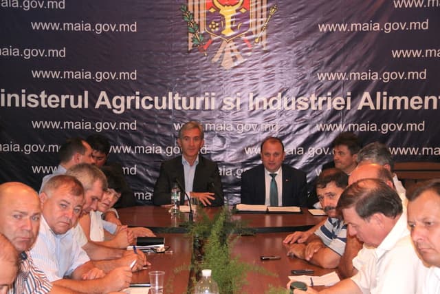 Guvernul va compensa pierderile producătorilor şi procesatorilor de mere şi prune