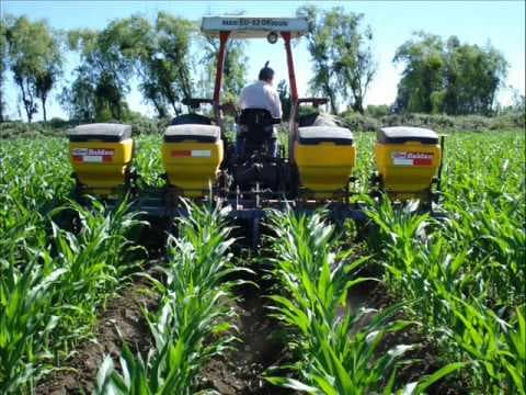 Japonia va acorda Moldovei $4,8 mil. în scopul dezvoltării agriculturii conservative