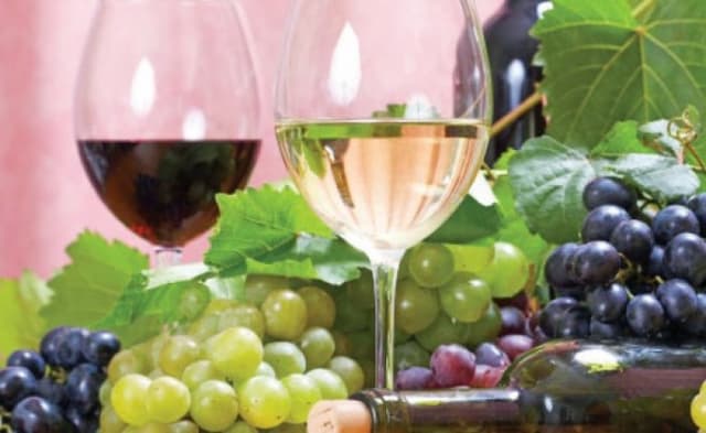 Vinificatorii moldoveni au participat la Târgul internaţional GoodWine