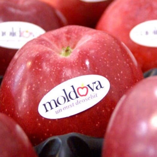 Молдова вошла в рейтинг крупнейших экспортеров яблок в мире