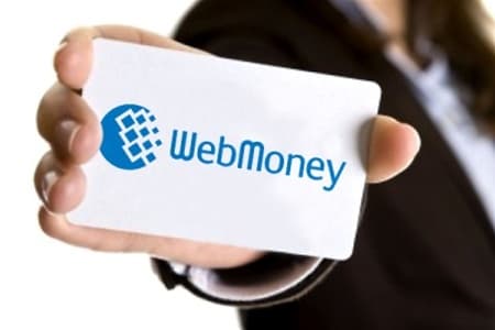 Sistemul de plăţi WebMoney lucrează deja cu lei moldoveneşti