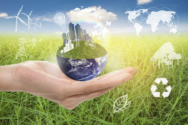 IMM-urile vor implementa practici prietenoase mediului ambiant