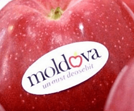 5 тысяч леев за право использования названия государства