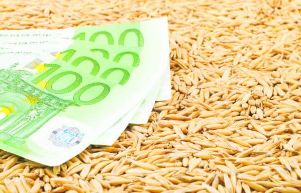 Fondul de subvenţionare a agriculturii ar putea fi suplinit cu 5 mil. de euro
