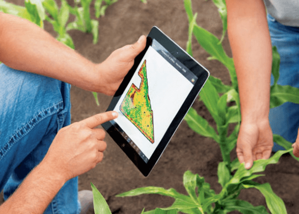 Producătorii agricoli care au beneficiat de granturi MAC-P vor avea propriile pagini web