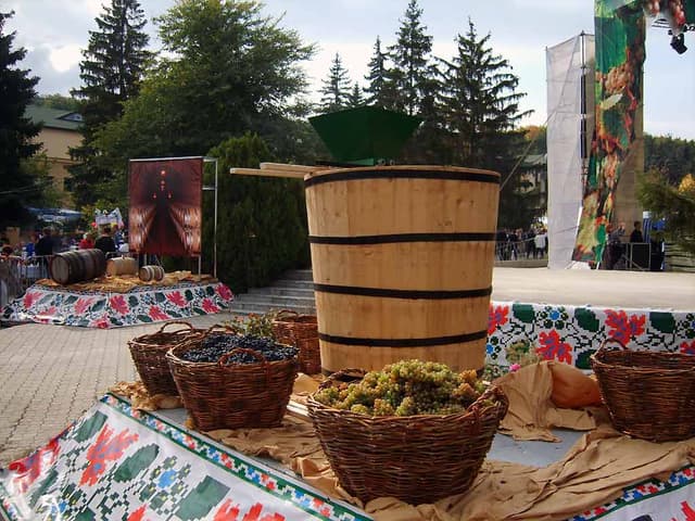 В этом году в Молдове День вина не состоится