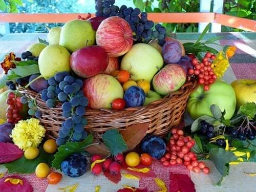 Banca Mondială va acorda un credit de 12 mln de dolari pentru producătorii de mere, prune și struguri