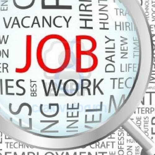 Numărul locurilor de muncă vacante din nou a crescut