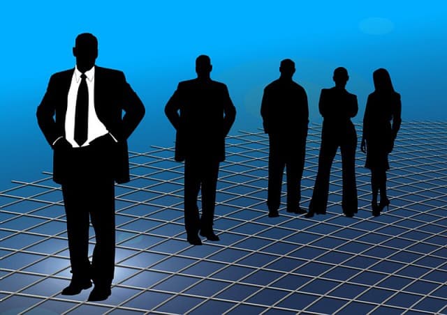 Organul executiv al instituției publice va fi numit de către fondator