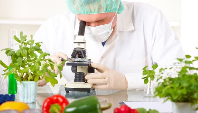 La Universitatea Agrară va fi introdusă o nouă specialitate