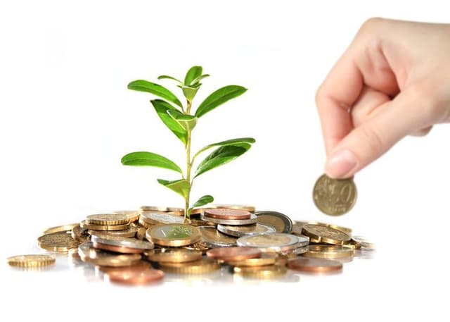 Candu: Pentru anul 2016 vom avea o nouă modalitate de subvenționare în agricultură