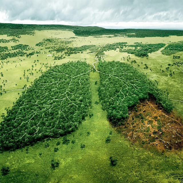 Moldsilva ar putea constata unele contravenții