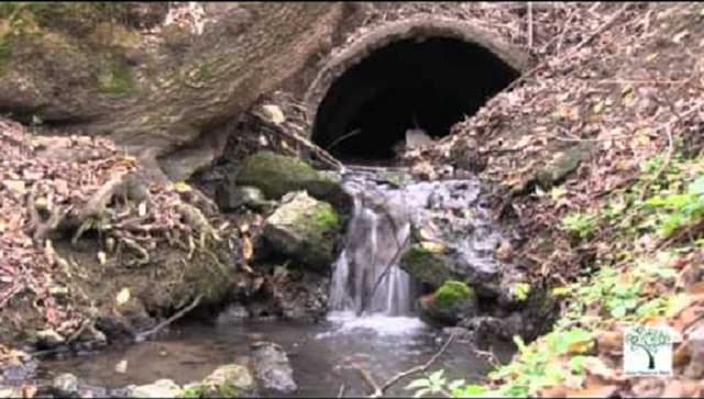 Veronica Herţa: Din 2018 tariful pentru evacuarea apelor reziduale pentru agenţii economici va fi calculat în funcţie de gradul de poluare