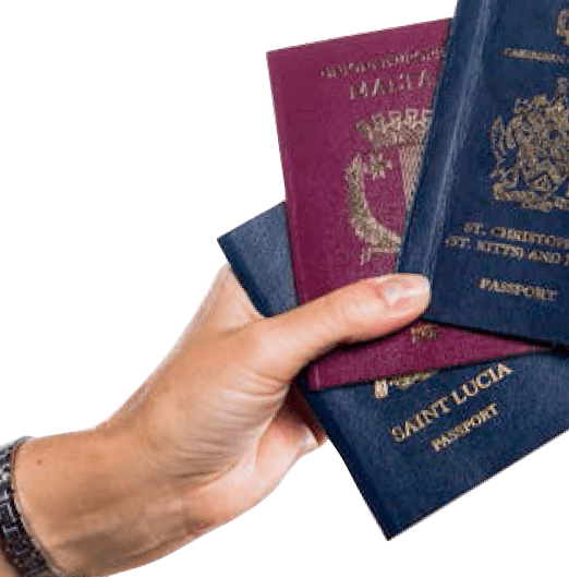 Паспорт для удобства