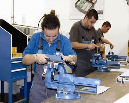 Comitete sectoriale pentru formare profesională