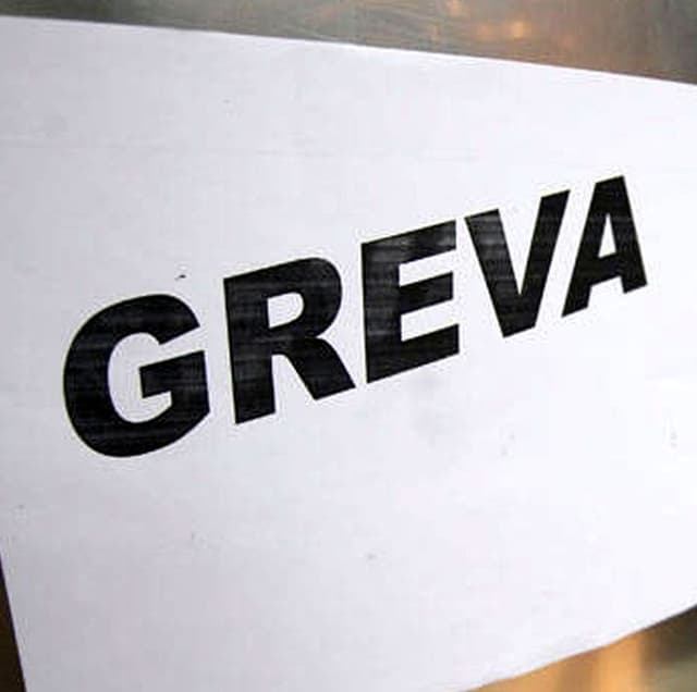 Unii funcționari vor avea dreptul la grevă, alții nu