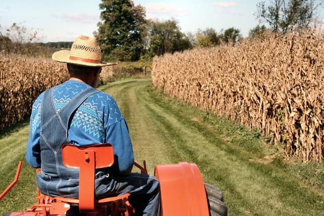 Subvenţiile în agricultură ar putea fi reduse în jumătate