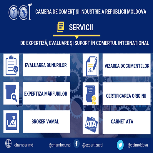 Tipuri de expertiză a mărfurilor în suportul afacerilor