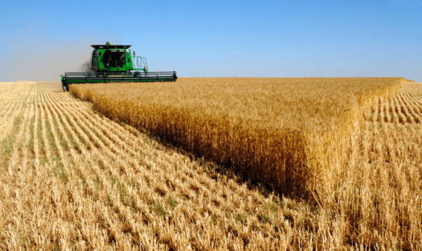 Impozitul pentru terenurile agricole s-ar putea majora cu 15%