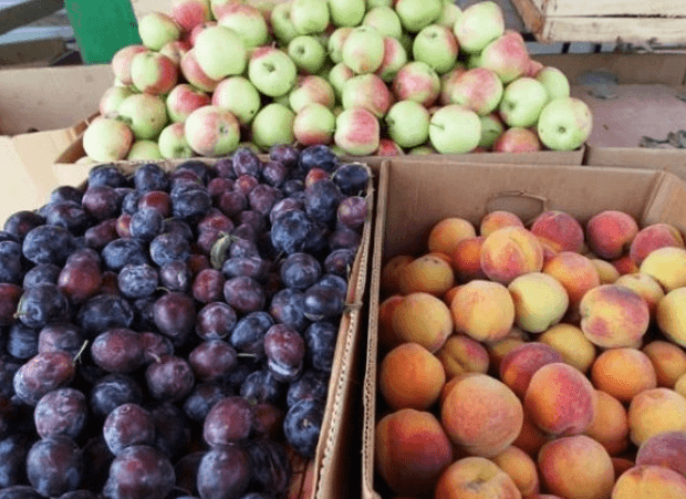 Proiectul Agricultura Competitivă în Moldova a lansat campania de promovare a fructelor din Moldova