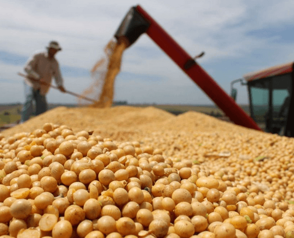 Producţia vegetală în scădere cu 21,8%