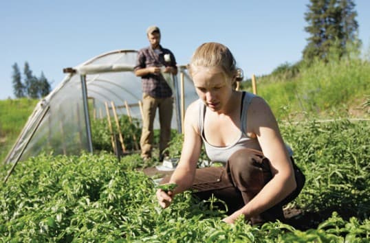 Granturi nerambursabile pentru tinerii de la sate care vor să deschidă afaceri